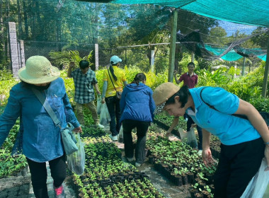 โครงการส่งเสริมและพัฒนาอาชีพเพื่อแก้ไขปัญหาที่ดินทำกินของเกษตรกรประจำปีงบประมาณ พ.ศ.2567 ... Image 11